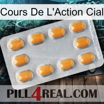 Cial Stock Price cialis3